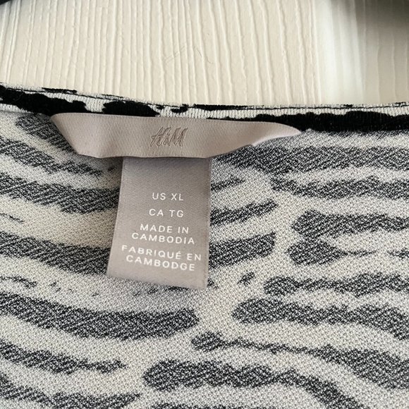 H & M Zebra Print Dress - Picture 3 of 4